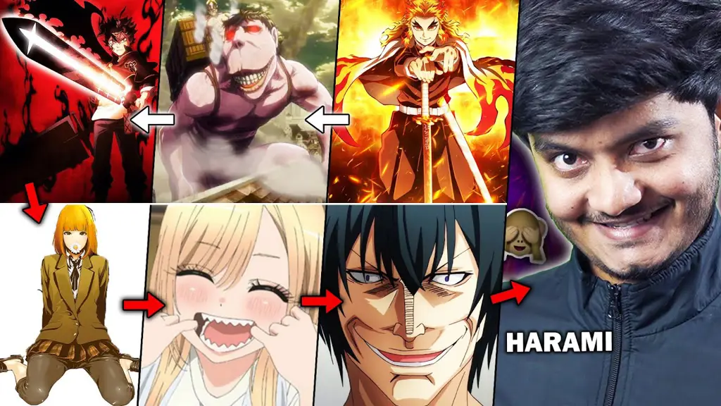 Panduan menonton anime